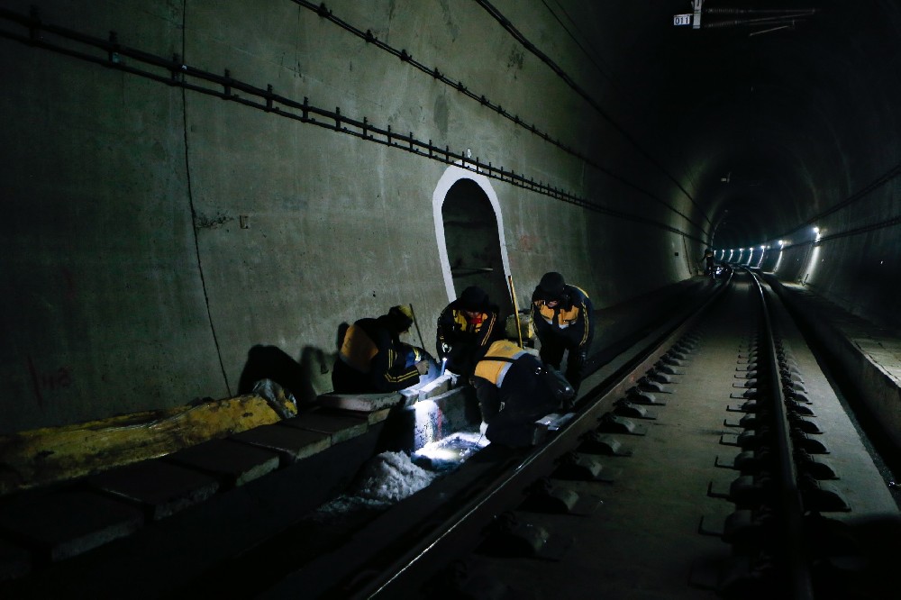 荔湾铁路运营隧道病害现状